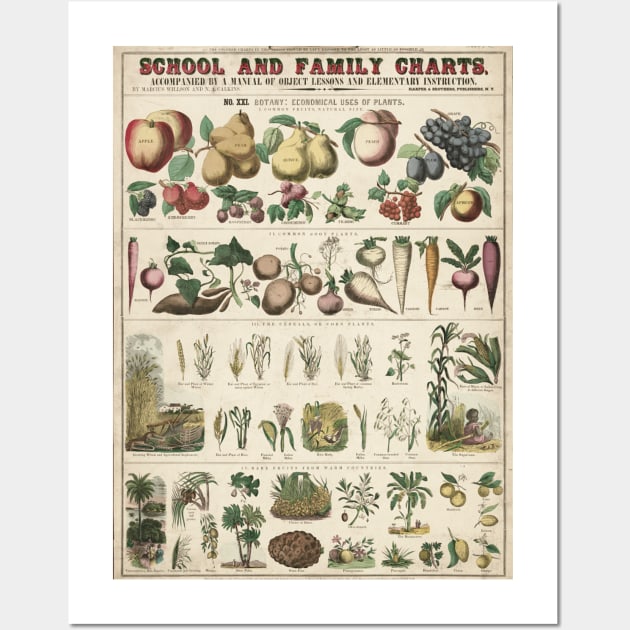 Healthy food habits agriculture educational vintage chart poster Wall Art by SpaceWiz95